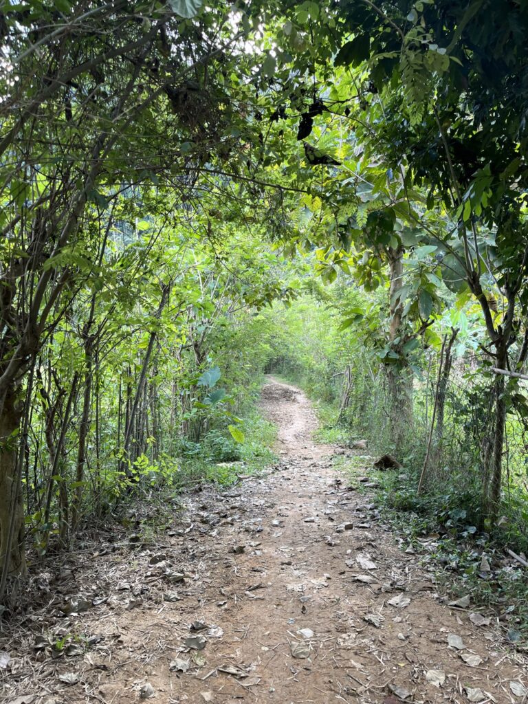 Path after the Phar Kew Lom viewpoint entrance