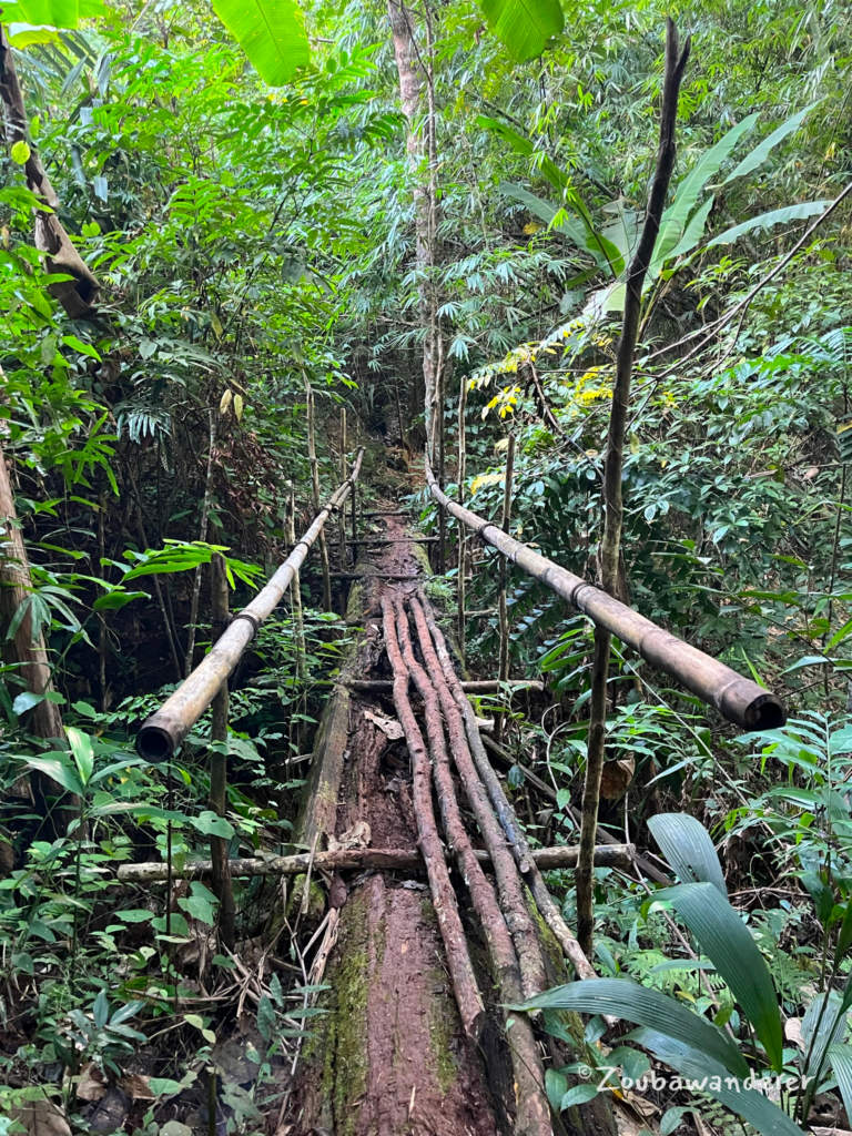 Phar Kew Lom viewpoint hike - wooden bridge